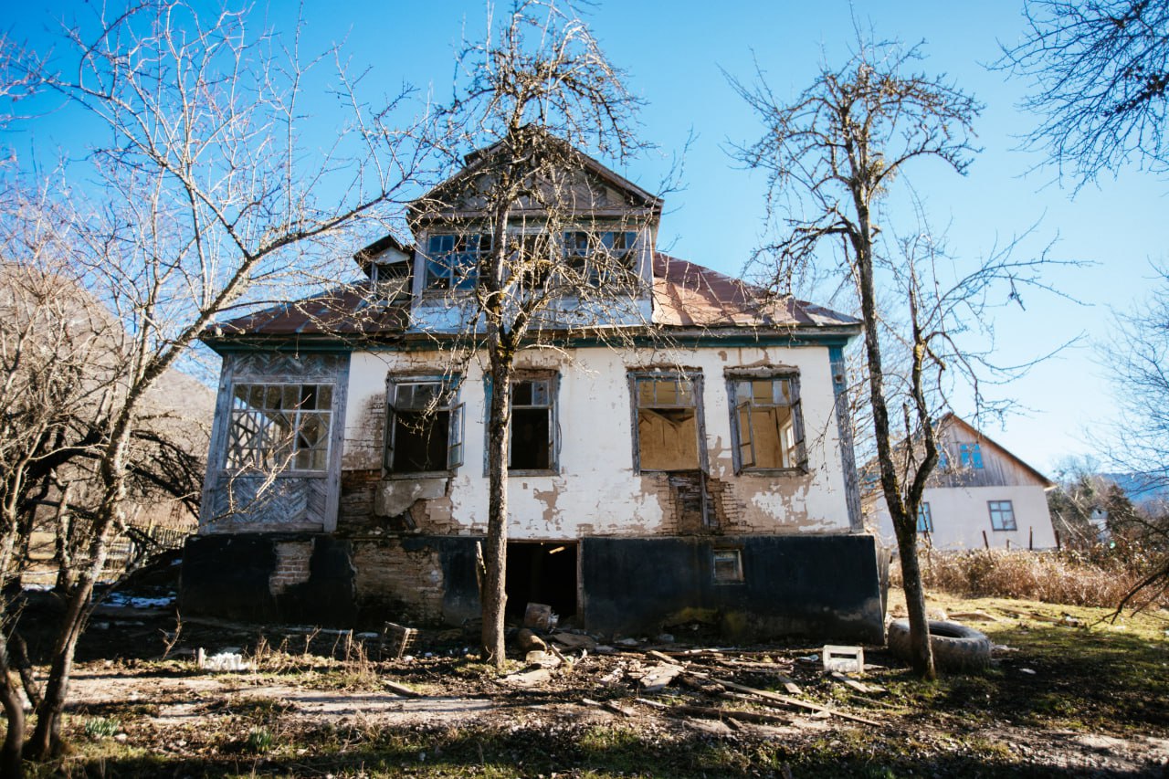 Сливы бузовой в телеграмме фото 107