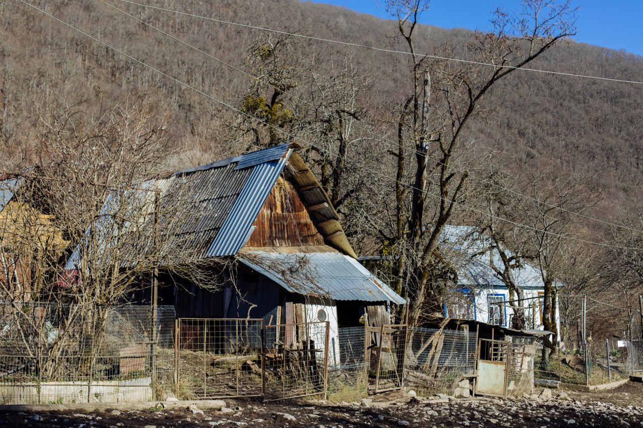 Сливы бузовой в телеграмме фото 123