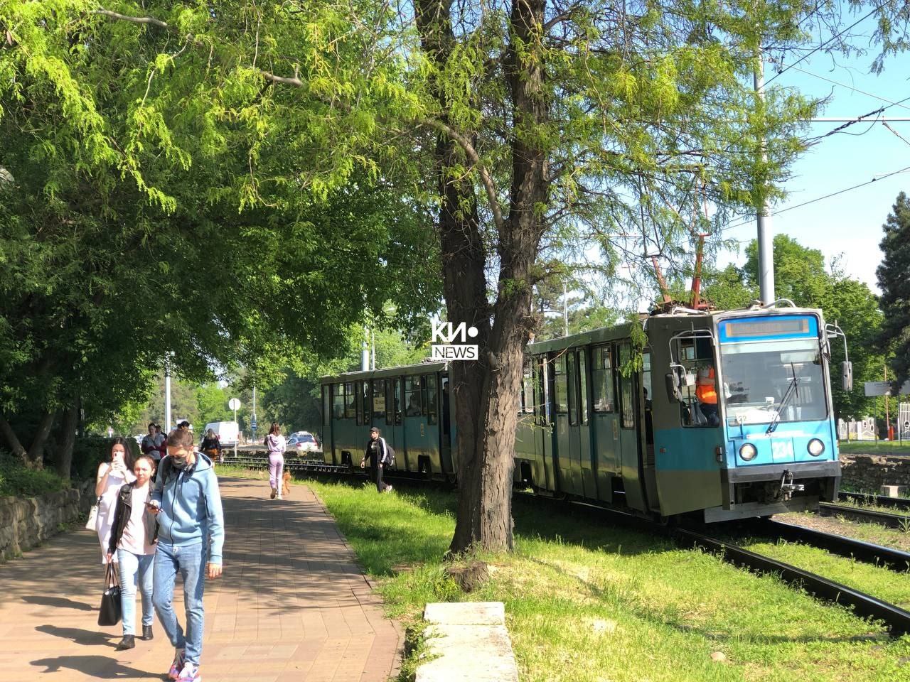 Фото: Эдуард Катышев, «Краснодарские известия»