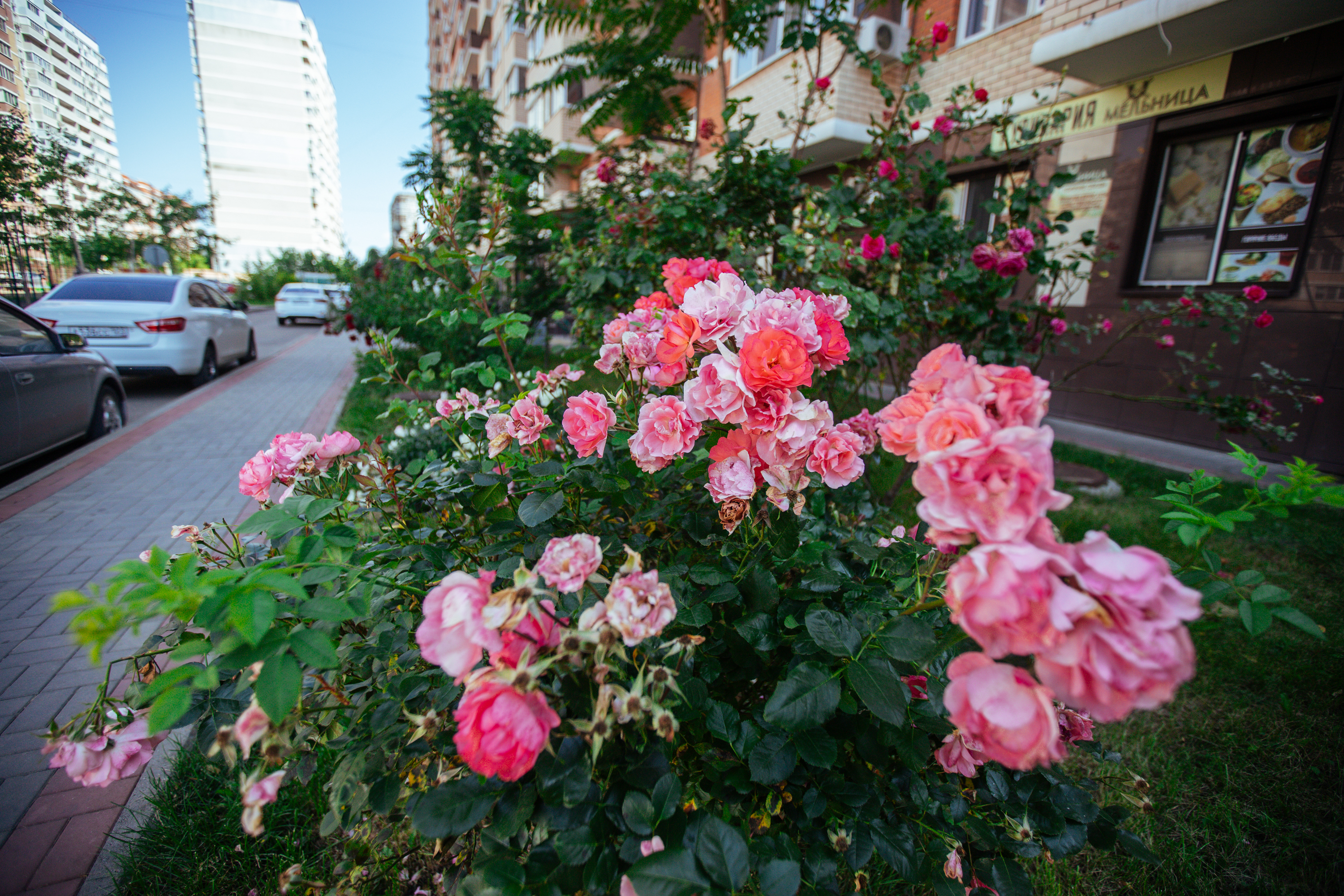 Фото: Денис Яковлев, 