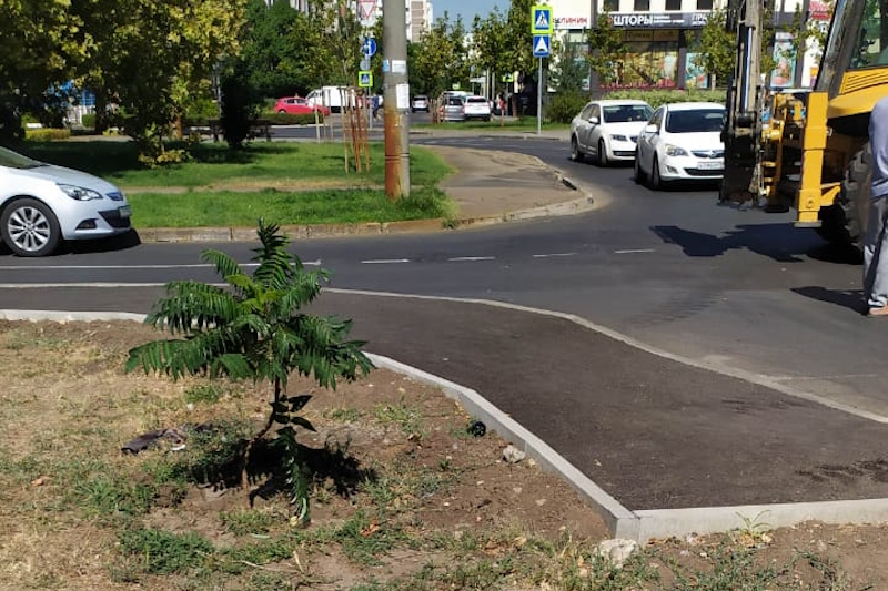 Восстановление пешеходных дорожек.. Восстановление обочин тротуара. Фото Юбилейный микрорайон Краснодар Платановый бульвар. Раздавили тротуар как восстановить..