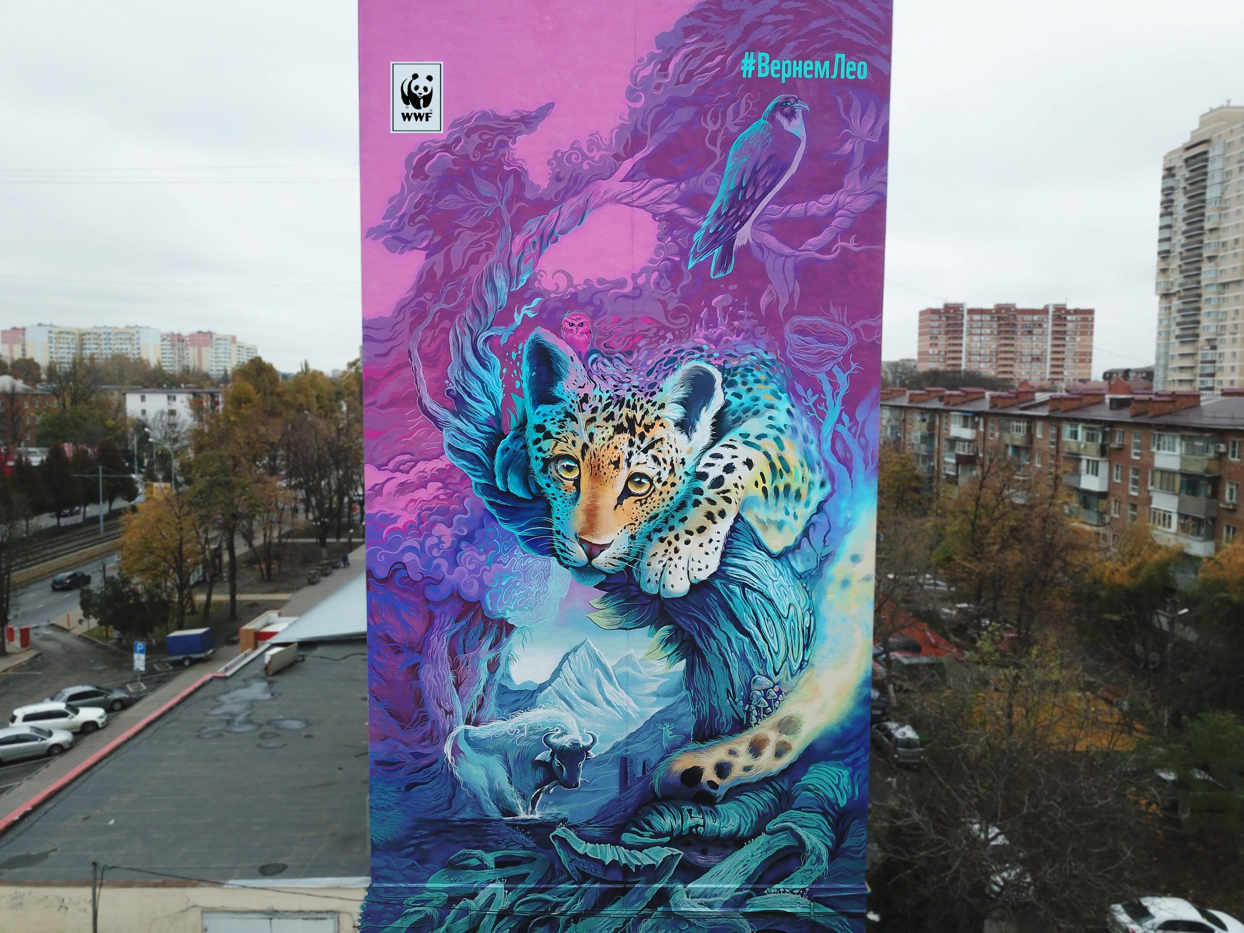 Граффити Магазин Краснодар