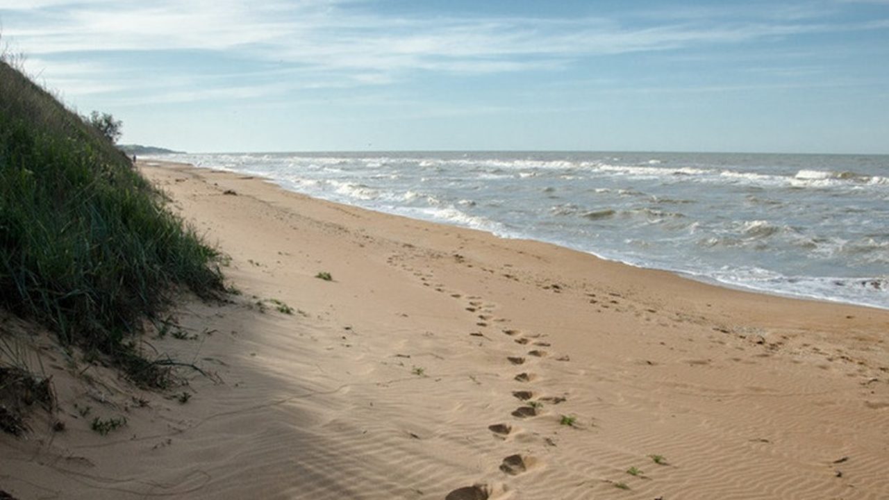 Кучугуры Краснодарский Край Фото Поселка И Пляжа