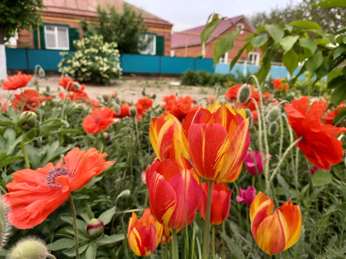 Самый северный пляж Кубани: Зачем ехать в село Шабельское? | 21.05.2021 |  Краснодар - БезФормата