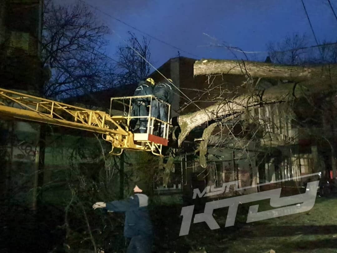 В Краснодаре ограничено движение транспорта из-за последствий шквального  ветра | 01.12.2021 | Краснодар - БезФормата