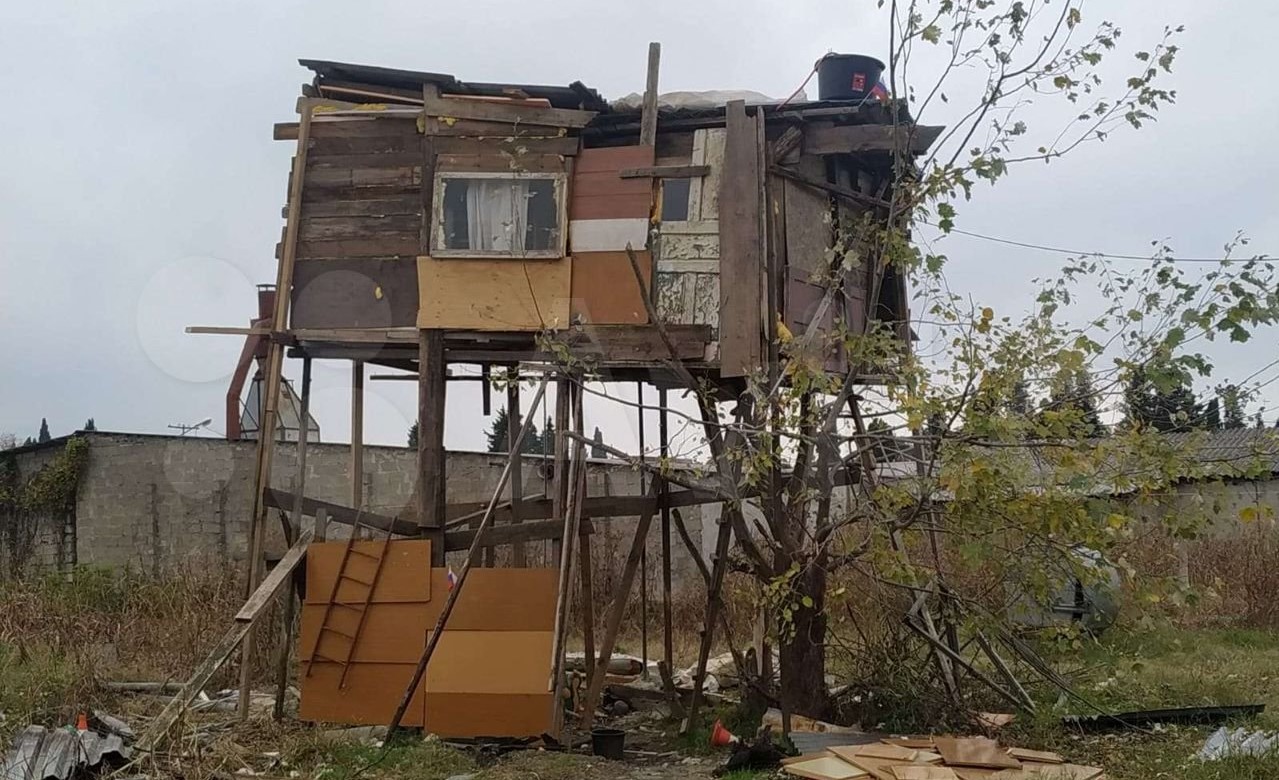 В Сочи продают домик на дереве за «2 млн рублей» | 06.12.2021 | Краснодар -  БезФормата