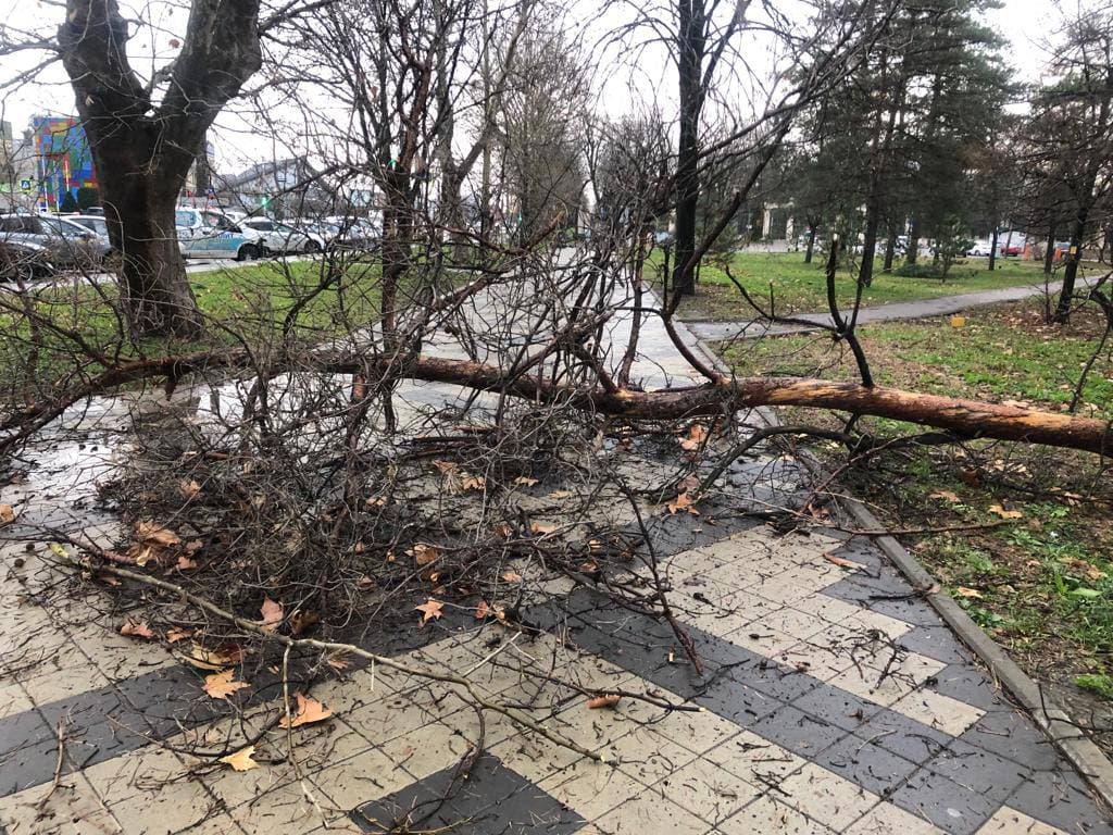 Ураган в Краснодаре: какой урон нанесла непогода в городе | 01.12.2021 |  Краснодар - БезФормата