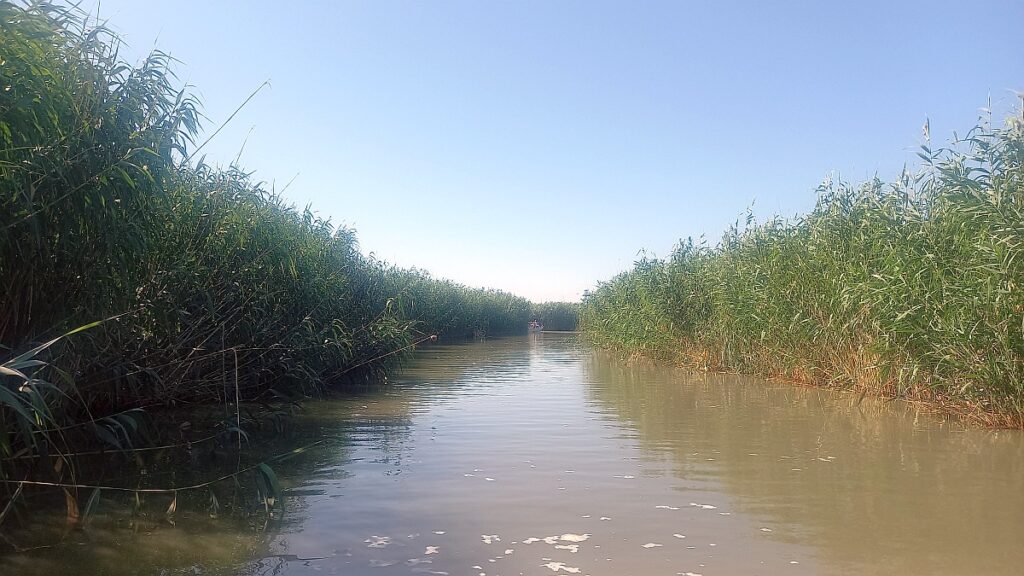 водоем